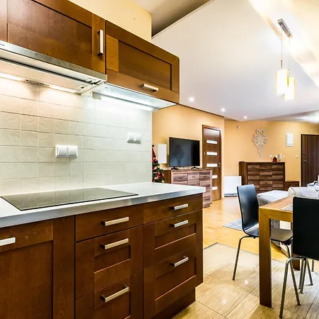 Apartment Przy Nosalu 42 Spa&ski Jacuzzi Sauna Free *