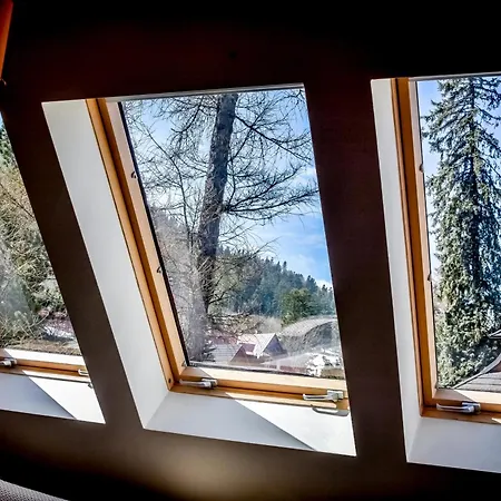 Przy Nosalu 42 Spa&ski Jacuzzi Sauna Free * Zakopane